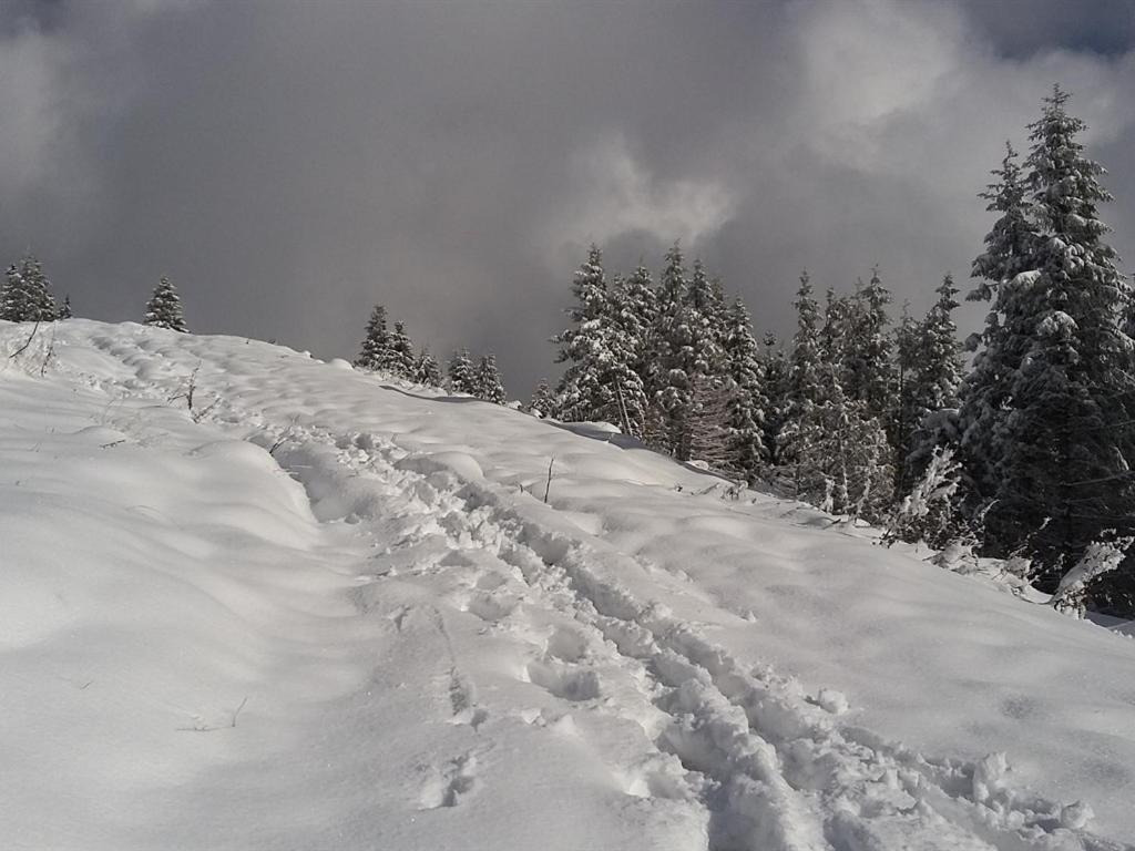 Landhotel Und Gasthof Kirchberger Wildsteig Buitenkant foto